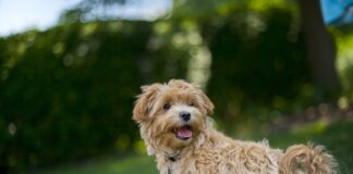 Kiedy wychodzić w upały?