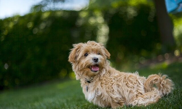 Kiedy wychodzić w upały?