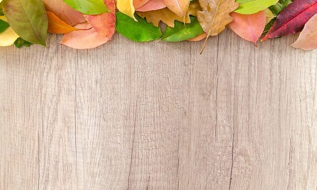 Co zwiedzić blisko granicy?