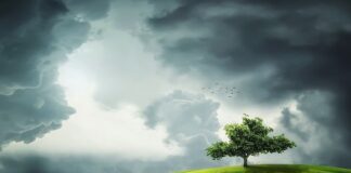 Co oznacza zielony listek na szlaku?