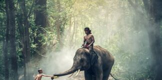 Czy jazda konna to sport ekstremalny?