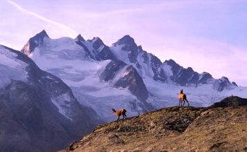 Jaka kurtka na trekking w Himalajach? Jaka kurtka na trekking w Himalajach?
