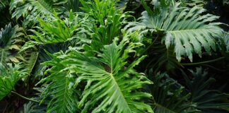 Gdzie wyjść z przyjacielem?