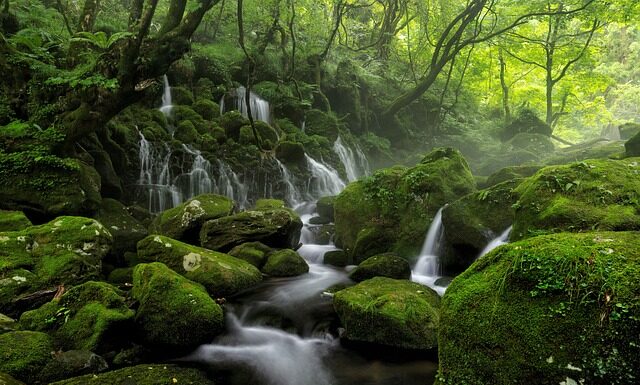 Z czego słynie region mazowiecki?