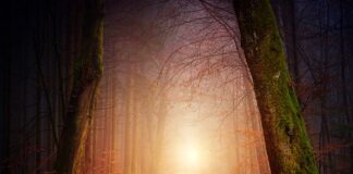 Gdzie na romantyczny weekend?