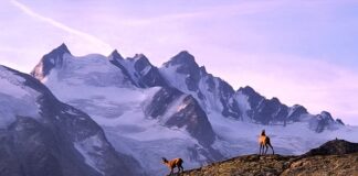 Co to znaczy trekking?