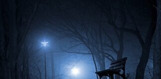 Gdzie warto odwiedzić w Polsce?