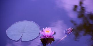 Jakich witamin brakuje gdy bolą stawy?