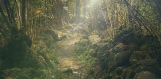 Co wziąć do jedzenia na 3 dniową wycieczkę?