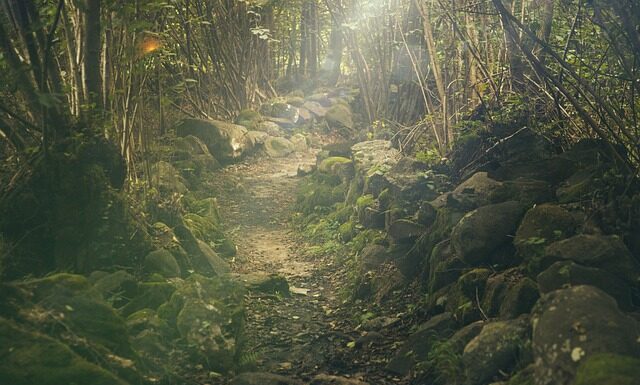 Gdzie na wycieczkę jednodniowa w Polsce?