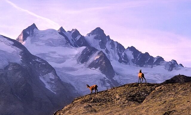 Jakie buty na trekking w Nepalu? Jakie buty na trekking w Nepalu?