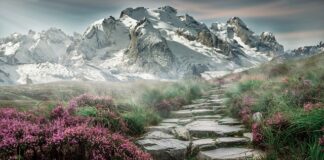 Gdzie najwięcej atrakcji w górach?