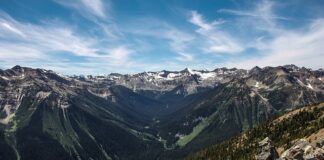 Jaki sport Rzeźbi brzuch?