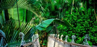 Ile trwa kurs wspinaczkowy?