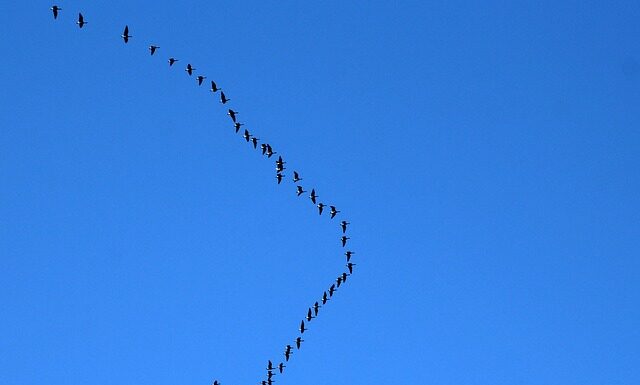 Gdzie lecieć we dwoje?