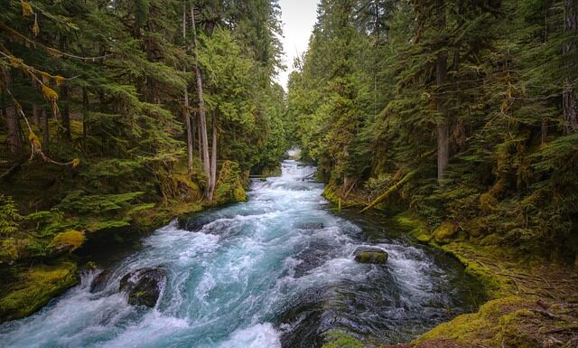 Co warto zobaczyć w centralnej Polsce?