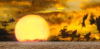 Czego unikać podczas upałów?