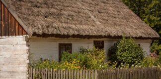 Gdzie warto pojechać na jeden dzień Mazowieckie?