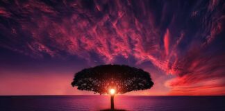 Jak chodzenie po schodach wpływa na sylwetkę?