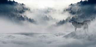 Gdzie na zimowy spacer w Warszawie?