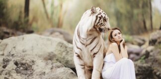 Gdzie jest niebezpiecznie w Europie?