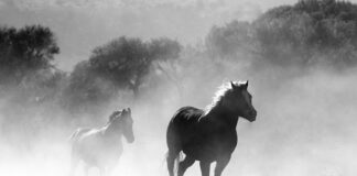 Gdzie można palić papierosy w Turcji?