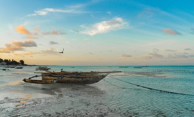 Co lata na Zanzibar?