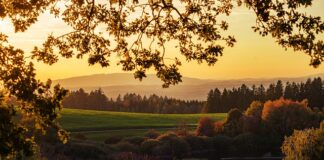 Dlaczego nie opalać sutków?