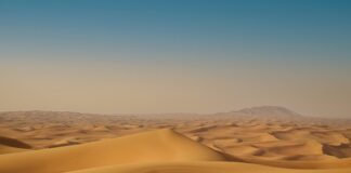 Czy w Dubaju są chodniki?